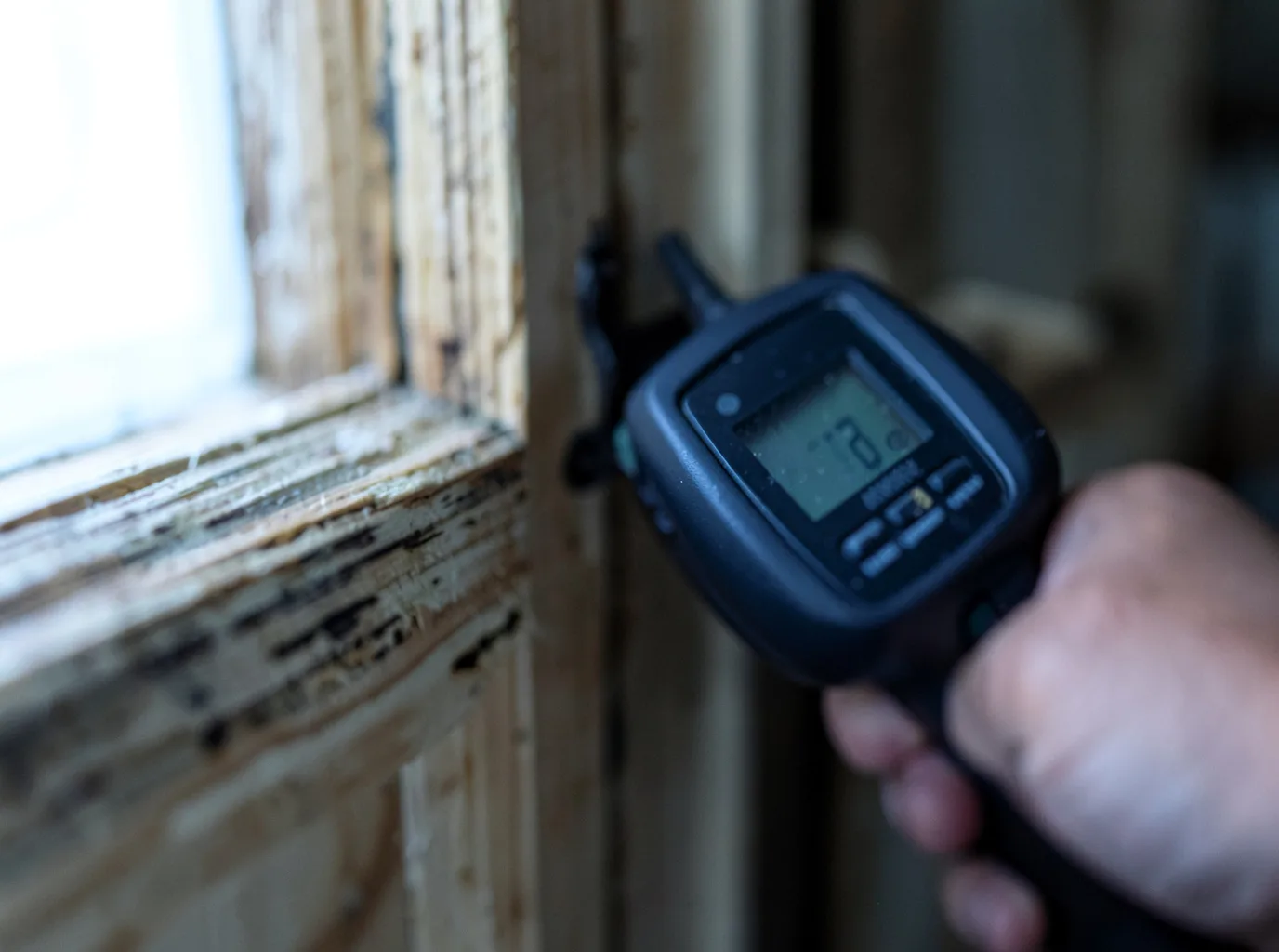 Ceiling Water Damage Repair in Wellborn, FL